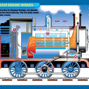 thomas the tank engine anatomy
