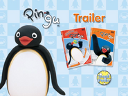 Pingu