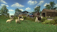 Farmer McColl's sheep in the ninth series