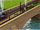 Cows!RS5.PNG