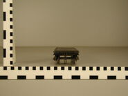 Eighth series ruler reference of the flatbed