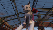 Lady Hatt's Cat (cat)