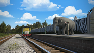 Philip passing the Animal Park in the nineteenth series