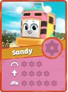 Sandy's Racing Card