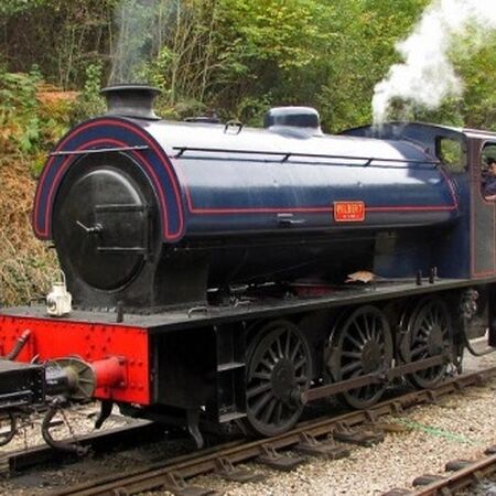 wilbert the forest engine