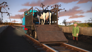 A stray animal wagon in the twentieth series
