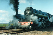 Shane's basis photographed alongside the Flying Scotsman during his tour of Australia