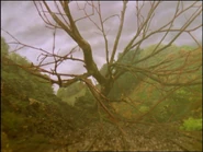 JamesandtheTroublewithTrees75.png (2.15 MB)