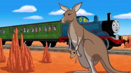 The kangaroo and joey