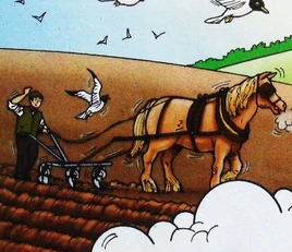 Horse-DrawnPloughs(T&F)