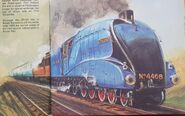 Mallard in the 1979 annual