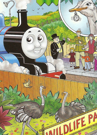 Thomas watch shop