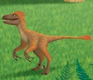 Velociraptors