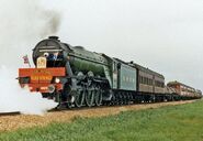 Flying Scotsman in 1989 during the Australian tour