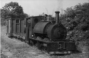 Sir Haydn in 1951