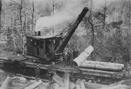 A real example of a crane similar to the Misty Island steam shovel