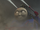 DayoftheDiesels37.png