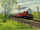 LeavesRS8.PNG
