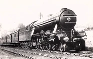 LNER2560PrettyPolly.jpg (160 KB)