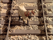 The ram on the line