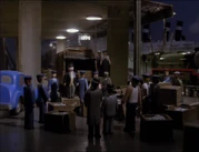 Fish9.png (1.03 מ"ב)