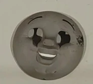 HankLaughingFace2025.jpg (59 KB) Hank's laughing face on display in 2025