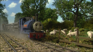 Sheep in the tenth series