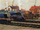 Cows!RS7.PNG