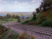 Percy running up the hill in reverse