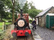 Talyllyn as Skarloey