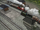 Rules and Regulations/Gallery