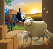 Farmer McColl's sheep in a My Thomas Story Library book