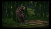 An Asian black bear