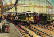 D701 wearing a wearing a branch line or ordinary passenger disc