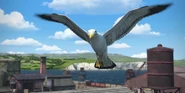 Birds (T&F) (1.74 MB) Stuart (seagull)