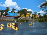 Diesel and the Ducklings