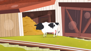 A cow next to the hay shed