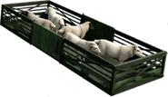 Sheep in Lift, Load and Haul
