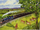 Cows!RS1.PNG