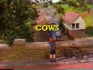 Cows2000UKtitlecard