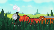 James in the field