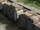 KingoftheRailway246.png