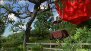 The balloon lands down onto a tree