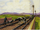Cows!RS6.PNG