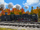Fall Is So Much Fun/Gallery