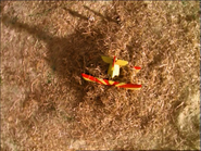 Tiger Moth after crashing into a haystack