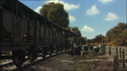 Cattle trucks in the tenth series
