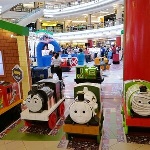 thomas mini collector case