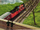 LeavesRS4.PNG