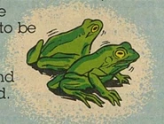 The Lineside Pond Frogs